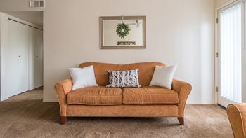 Cantera cozy living room with carpet flooring